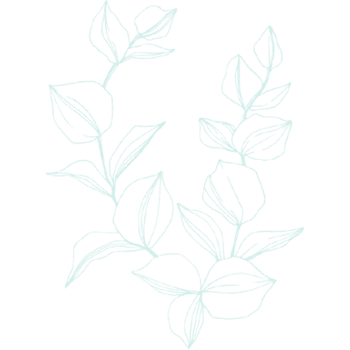 ASCH Counseling and Development, PLLC