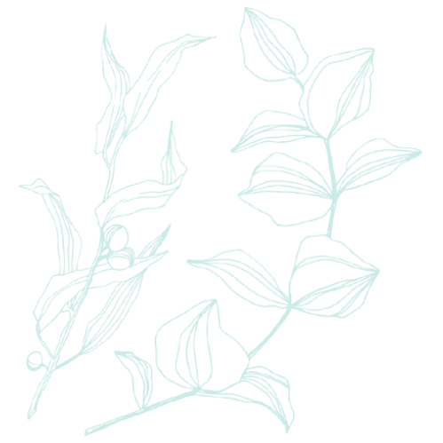 ASCH Counseling and Development, PLLC